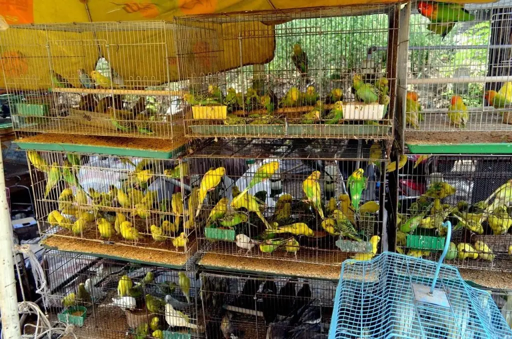 Dierenwinkel in Leiden met uitgebreid assortiment voer, speelgoed en accessoires voor huisdieren